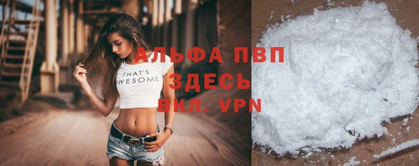 стаф Баксан