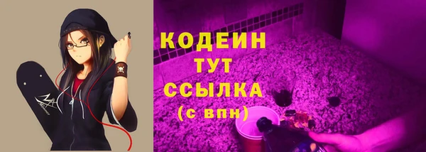 эйфоретик Арсеньев