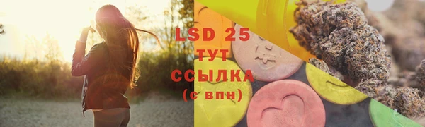 эйфоретик Аркадак