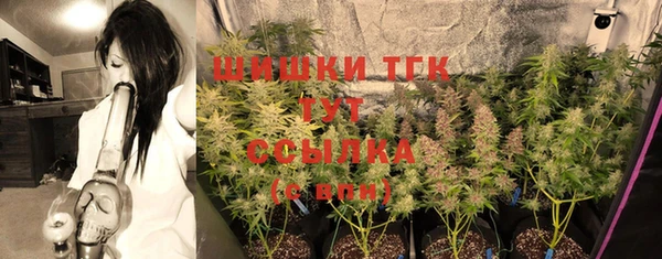 ПСИЛОЦИБИНОВЫЕ ГРИБЫ Армянск