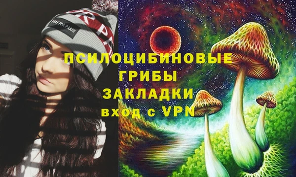 эйфоретик Аркадак