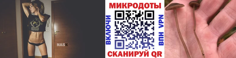 Псилоцибиновые грибы Cubensis Краснослободск